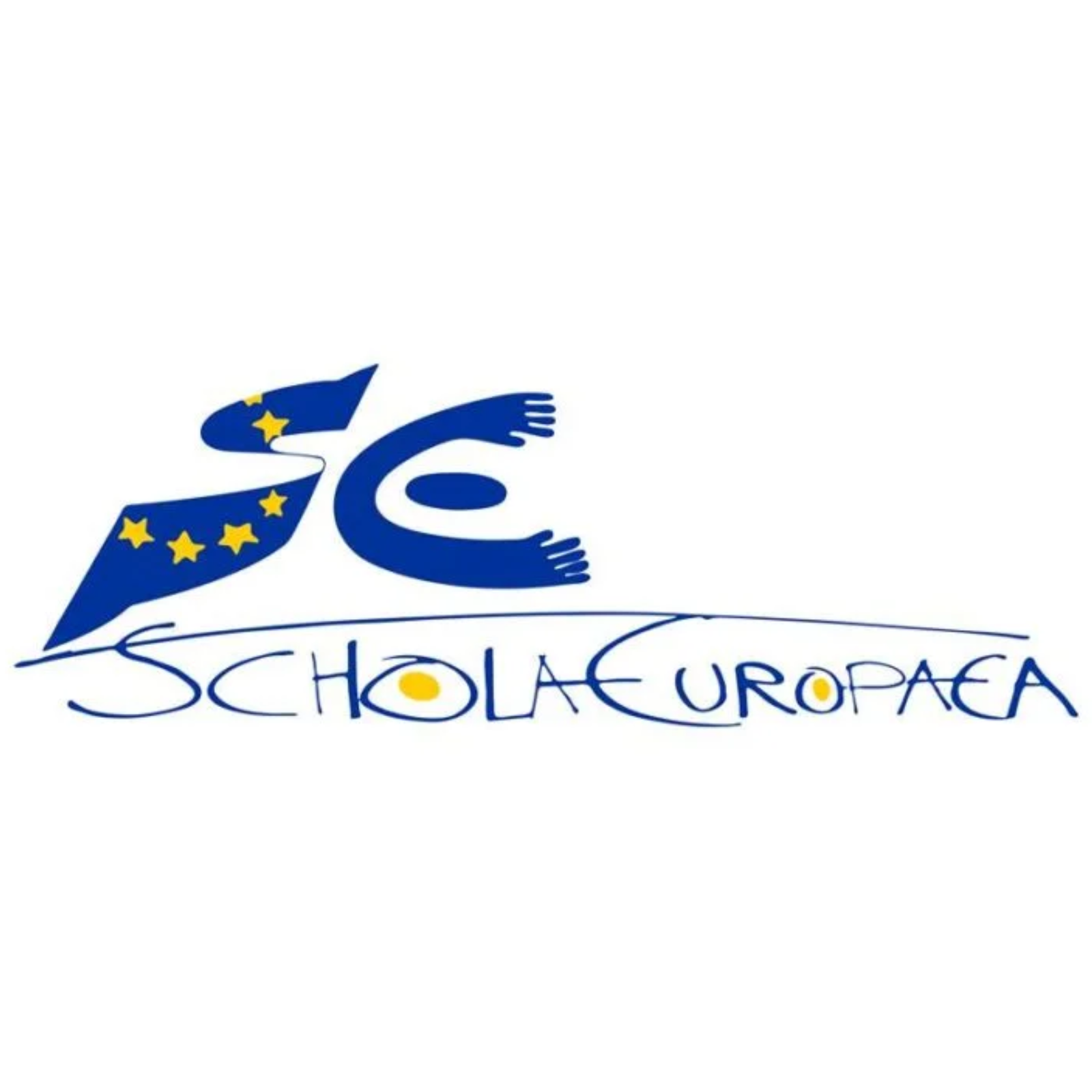 dtc group | Distecable, European Schools cliente Distecable